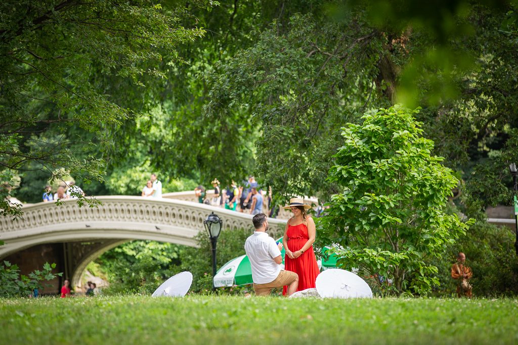 Romantic Places to Propose in New York with Picture