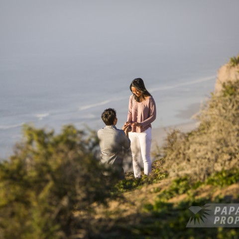 Kunal and Annie’s La Jolla Cliffs Proposal