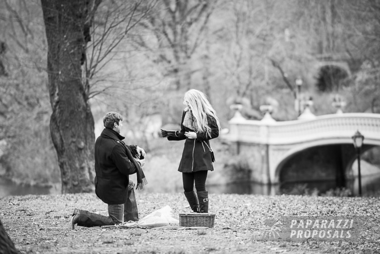 Photo Proposal Photography – Central Park Proposal, New York City – Rusty & Jessica