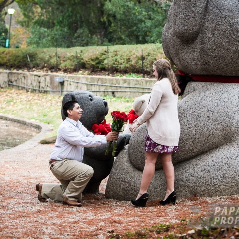 Juan and Molly's Proposal