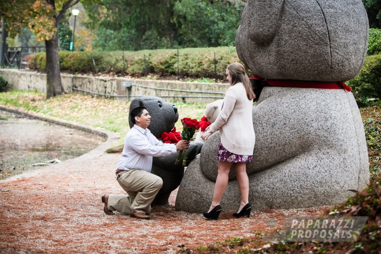Photo Dallas Marriage Proposal Ideas