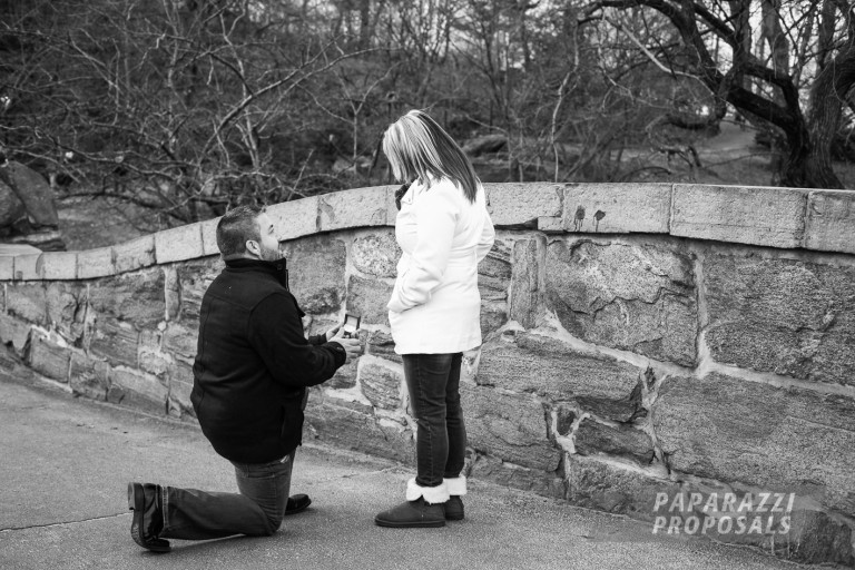 Photo Proposal Ideas – Central Park Gapstow Bridge Proposal, NYC – Chuck & Mandy