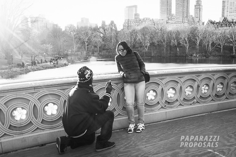 Photo Proposal Photography – Central Park, New York City – Darnell’s Proposal