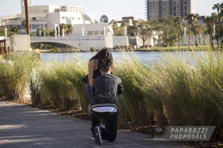 Photo Thompson and Kareen’s Tampa Bay Proposal In Florida