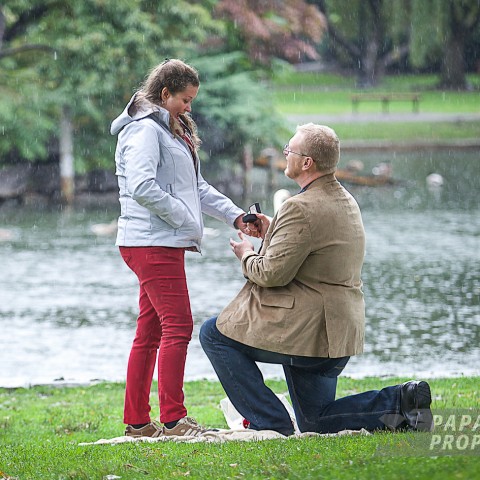 Kelly and Holly's Park Proposal