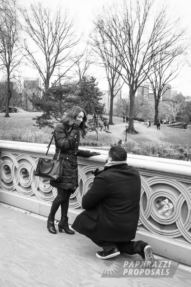 Photo New York Proposal Photography – Central Park Bow Bridge Proposal – Enrico & Lauren