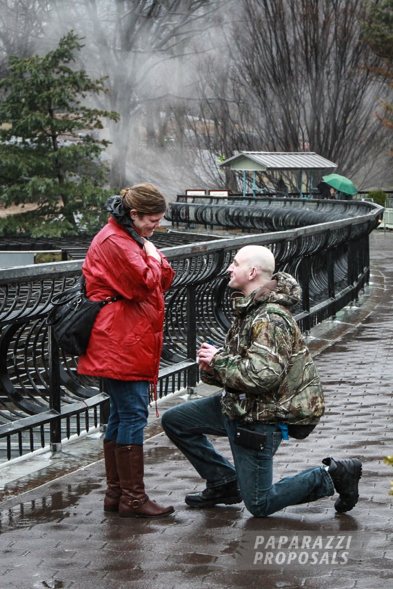 Photo Allen and Chantal’s Central Park proposal, New York