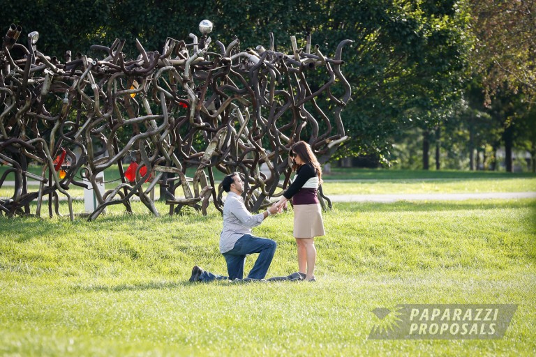Photo Grant Park, Chicago: Amar & Valerie’s musical surprise proposal