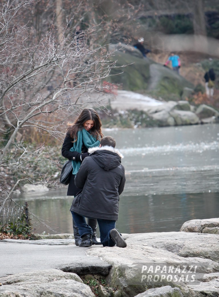 Photo Anthony and Sandra’s Gapstow Bridge Proposal