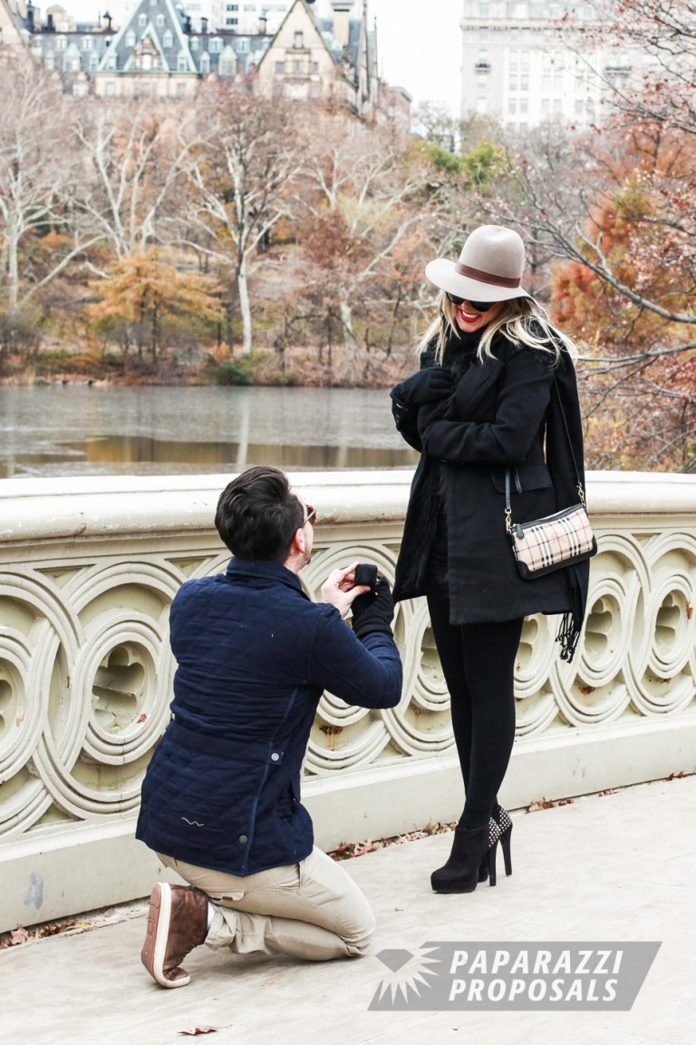 Photo NYC Proposal Ideas – Central Park Proposal – Fernando & Glaucia’s Engagement