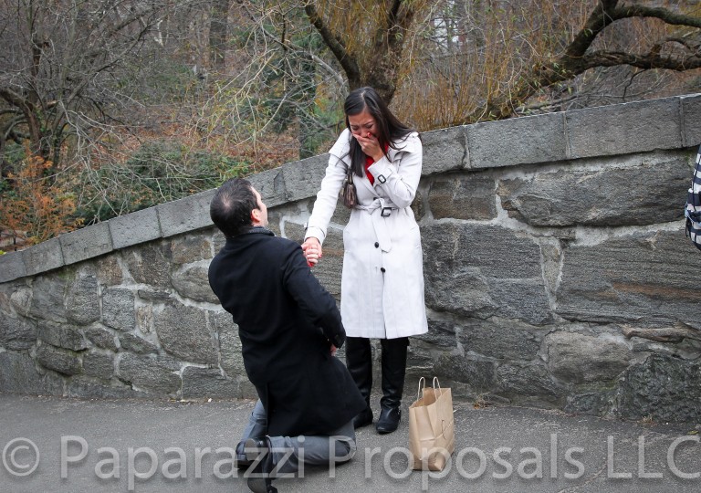 Photo Chip and Veronica’s Gapstow Bridge proposals, New York.