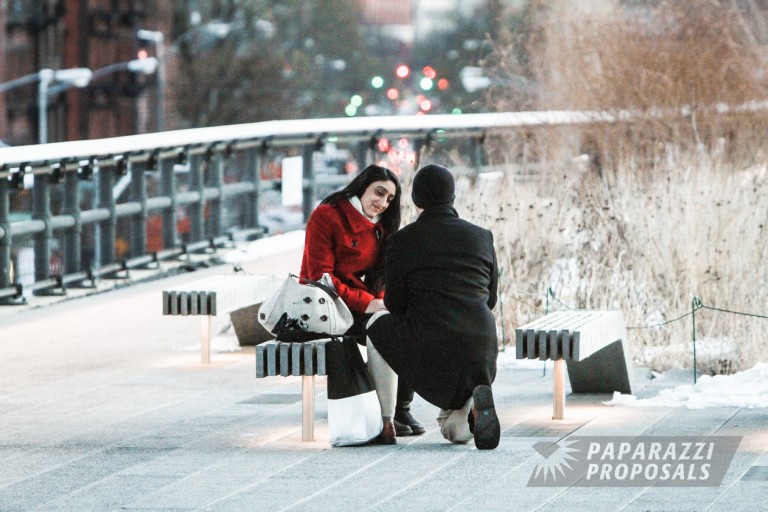 Photo Daniel’s winter Highline proposal, New York City