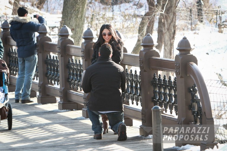 Photo Dan and Verz’s lovely Oak Bridge Proposal!