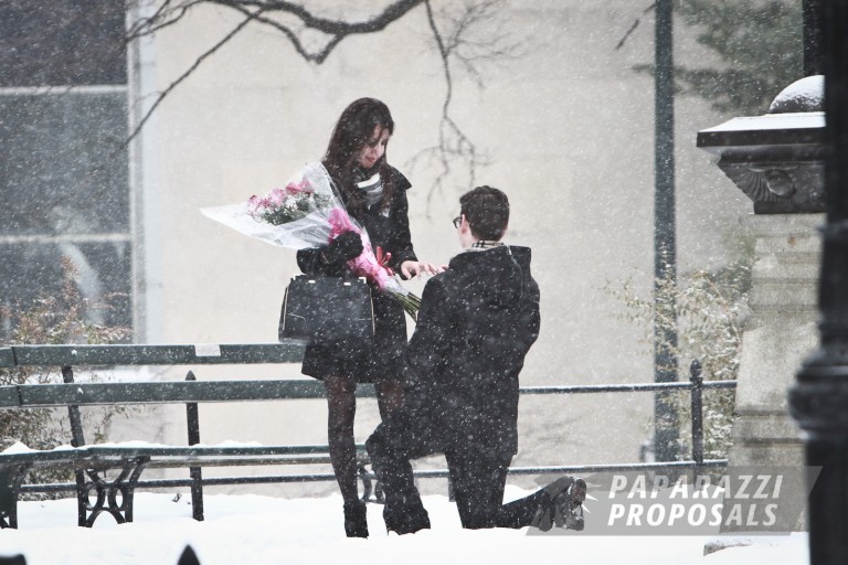 Photo Dan and Taryn’s beautiful snowy Central Park proposal