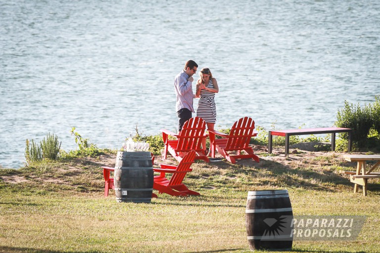 Photo Dave and Kathy’s Long Island Vineyard proposal, New York.