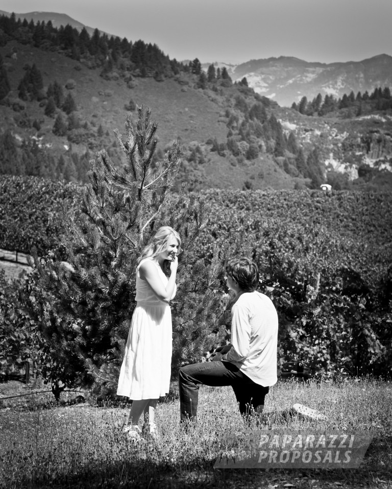 Photo David and Hayden’s Napa Valley Proposal