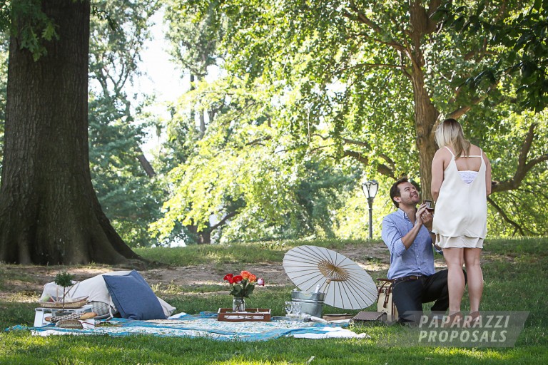 Photo Fabian and Nickies Central Park picnic proposal, New York.