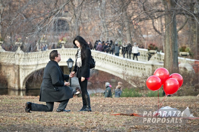Photo George and Doris’s surprise Central Park proposal