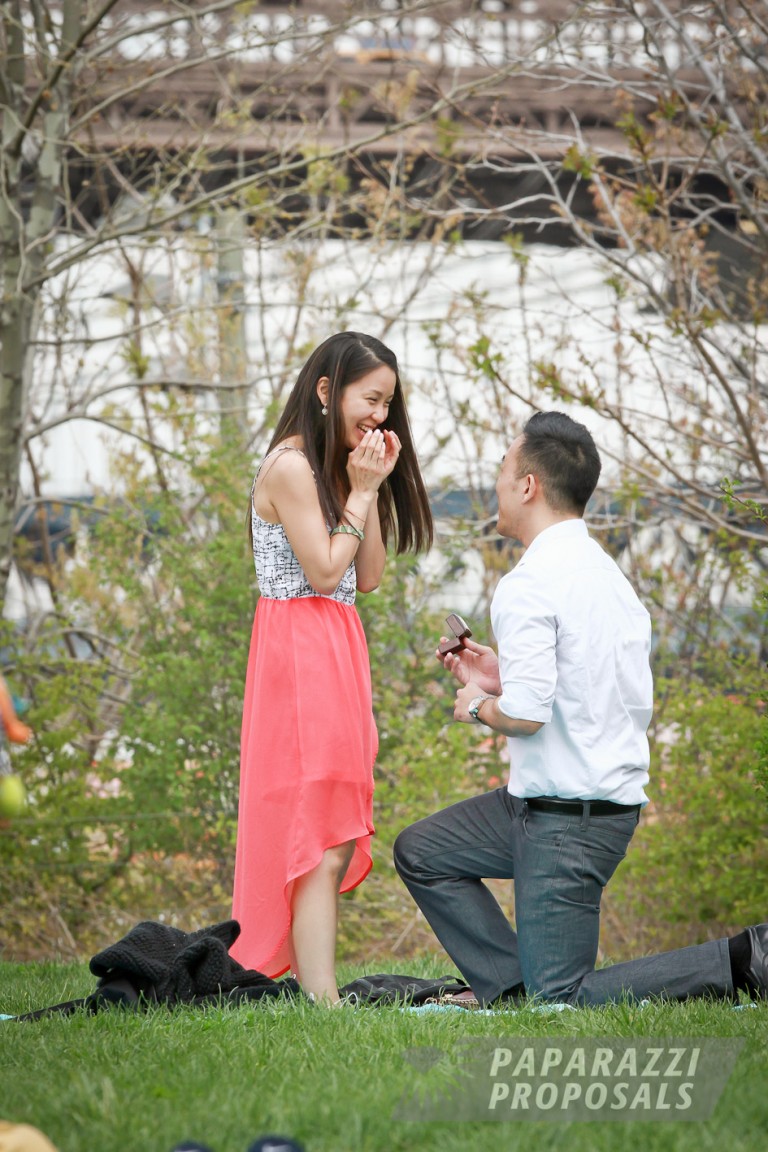 Photo Winner dreams up his perfect proposal, New York