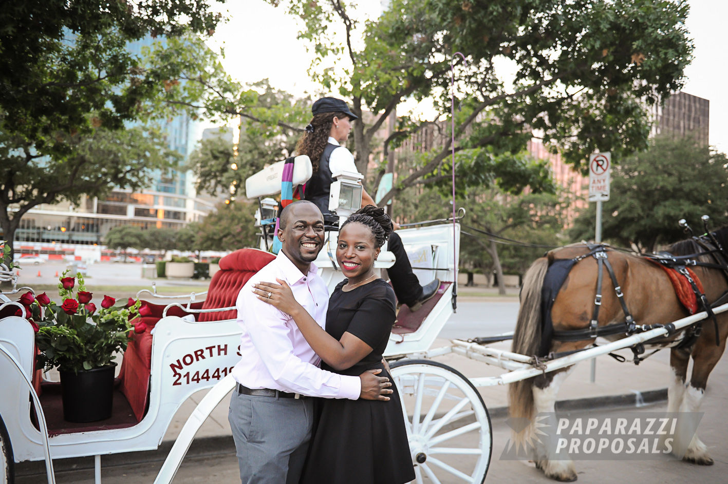 dallas marriage proposal horse and carriage
