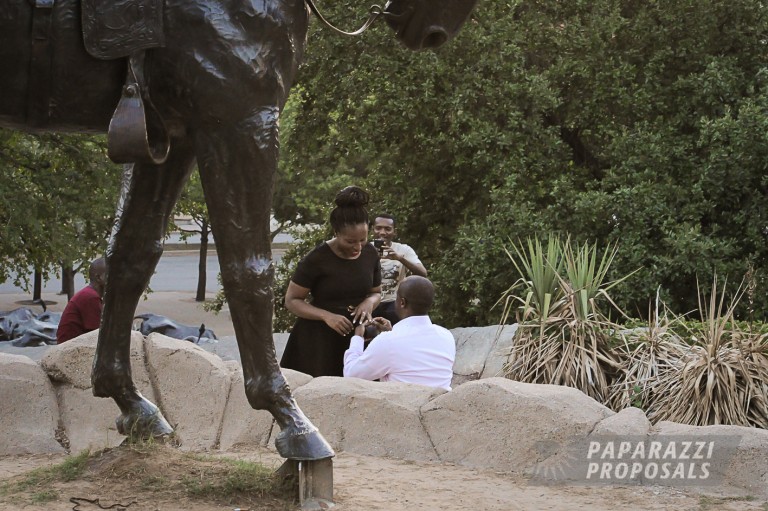 Photo Idong and Udeme’s horse and carriage proposal, Dallas.