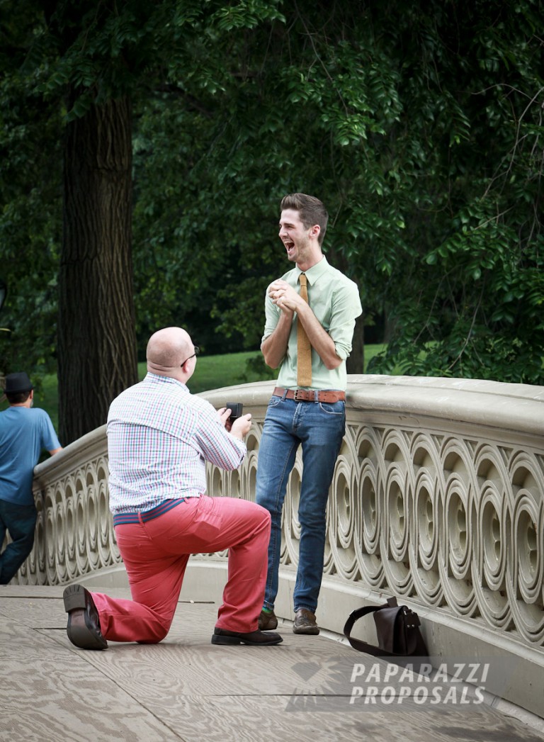 Photo Matt and Jake’s beautiful Bow Bridge Paparazzi Proposal, New York