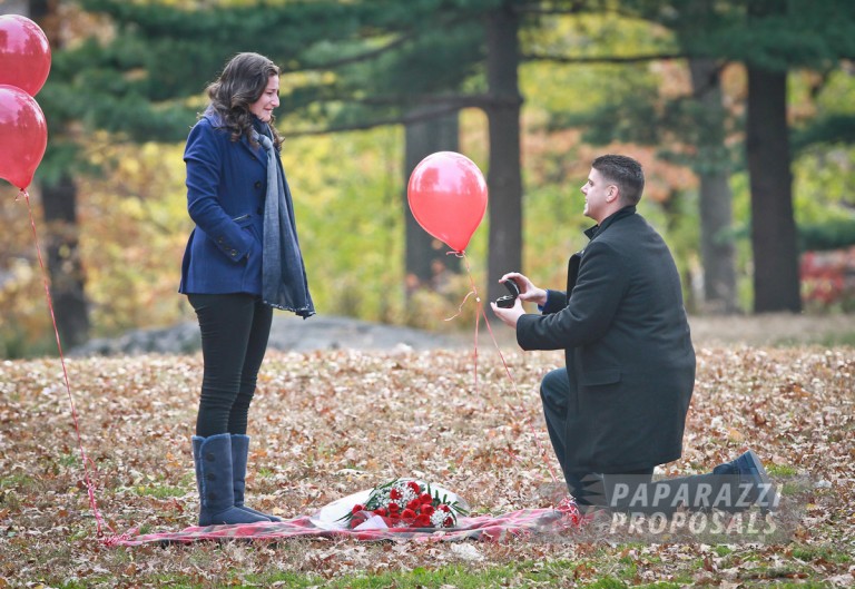 Photo James and Julie’s central park proposal, New York.