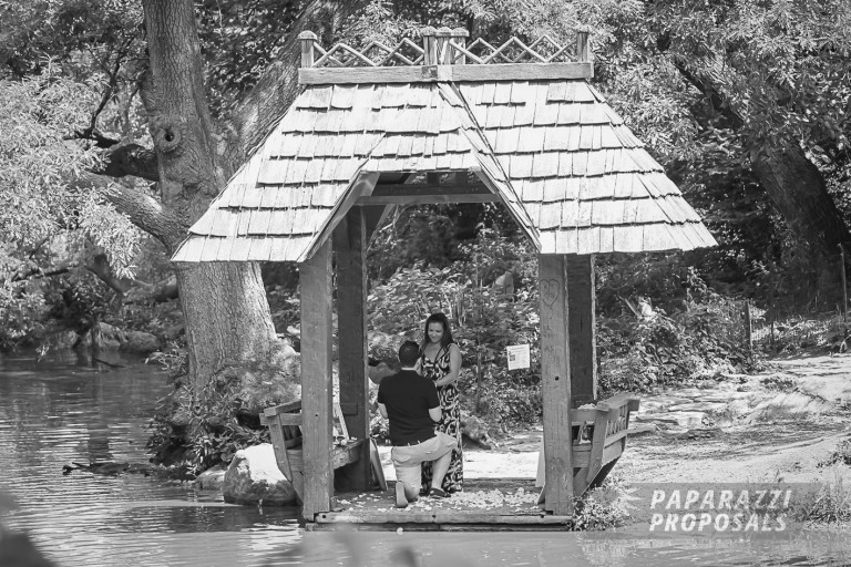 Photo Jonathan and Kristen’s Wagner’s Cove Proposal, New York.