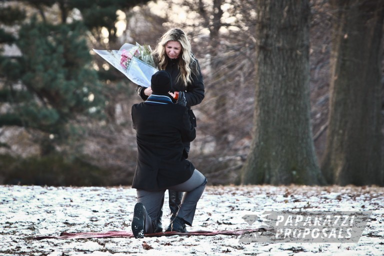 Photo Mac and Gabriela’s wonderful winter Central Park proposal
