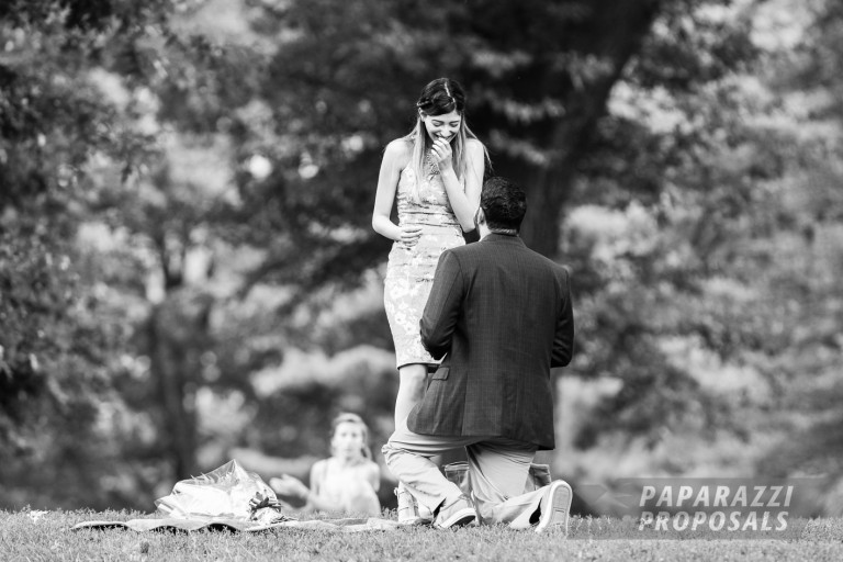 Photo Majid and Sarah’s perfect picnic proposal, Central Park, New York.