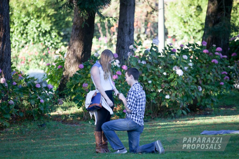 Photo Golden Gate Park Surprise Proposal, San Francisco: Michael & Lindsay