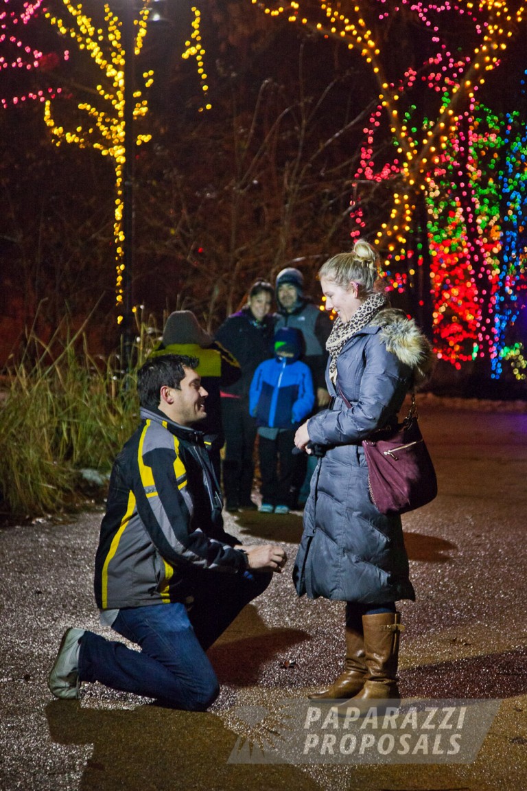 Photo Michael and Amanda’s beautifully lit Lincoln Park Zoo Proposal, Chicago