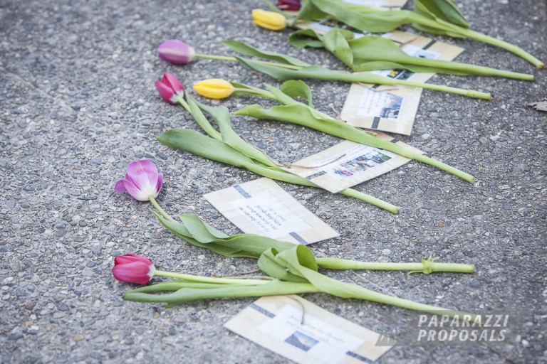 Photo Michigan Proposal Ideas |Trail of Tulips