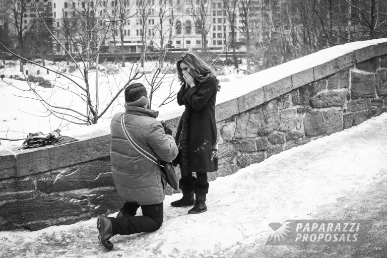 Photo Juan and Karla Paulina’s Proposal On The Gapstow Bridge In Central Park!