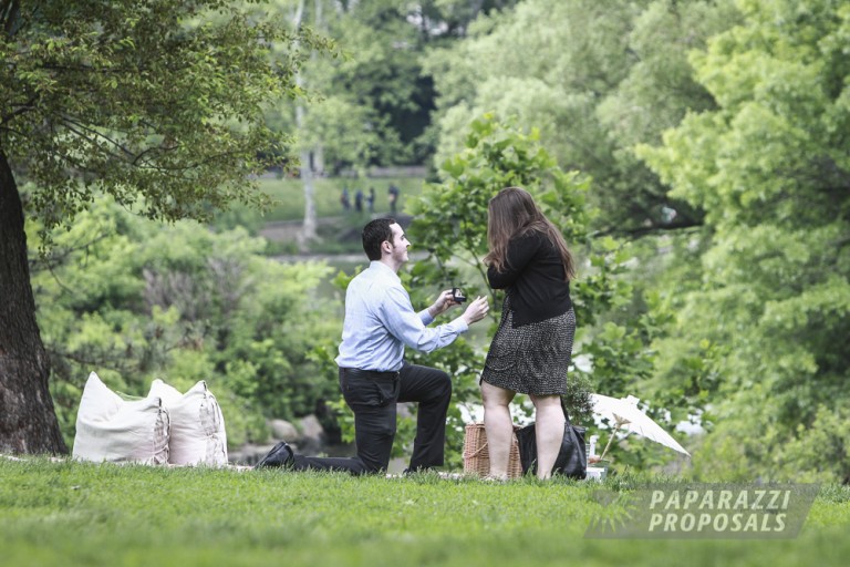 Photo NYC Proposal Ideas-Central Park Perfect Picnic