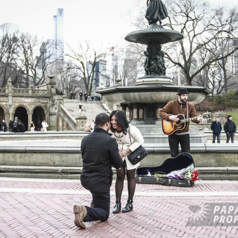 Rahim and Ria’s Central Park Proposal