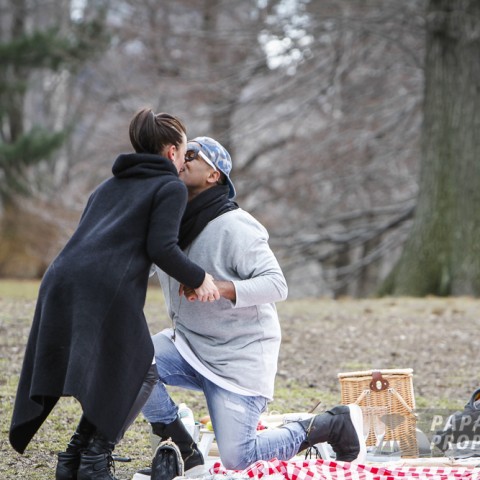 Faab and Monica’s Perfect Picnic Proposal in Central Park