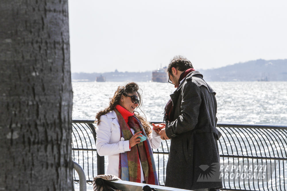 Photo Romantic New York Picnic Engagement Proposal