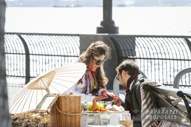 Photo Romantic New York Picnic Engagement Proposal