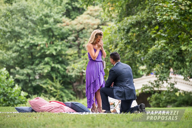 Photo Omar and Danielle’s romantic central park perfect proposal, New York.