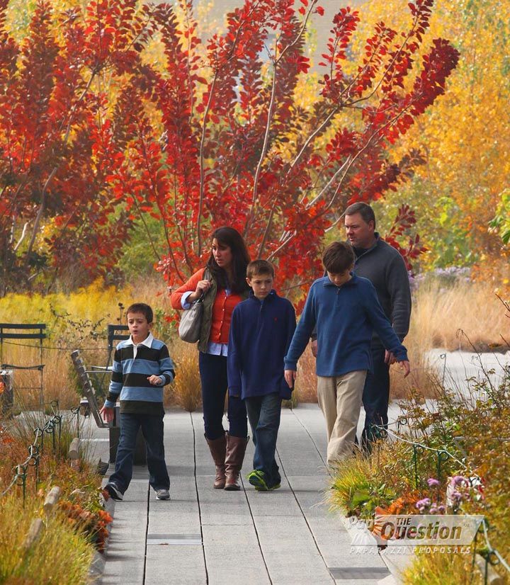 Photo The Brennfleck Family Paparazzi Portrait Photography session.