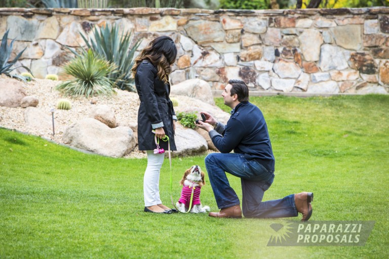 Photo Phoenix Proposal Photography | Daniel and Ariana’s Engagement In Sanctuary Camelback Mountain!