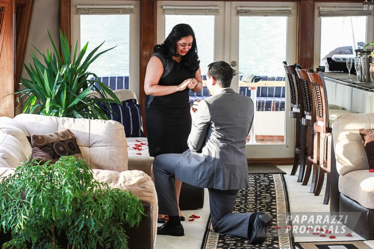 Photo Rishin and Monika’s romantic private yacht proposal, NYC