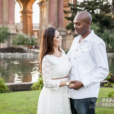 Aron and Melissa’s Palace of Fine Arts Proposal