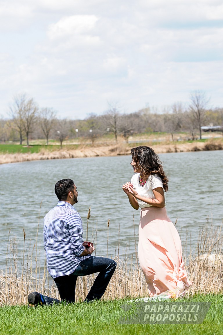 Photo Shabbir and Fatima’s beautiful Forest proposal, Illanois