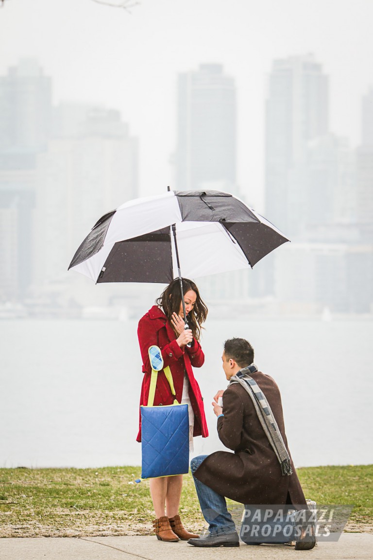 Photo Tom and Virginia’s gorgeous island proposal in Toronto, Canada