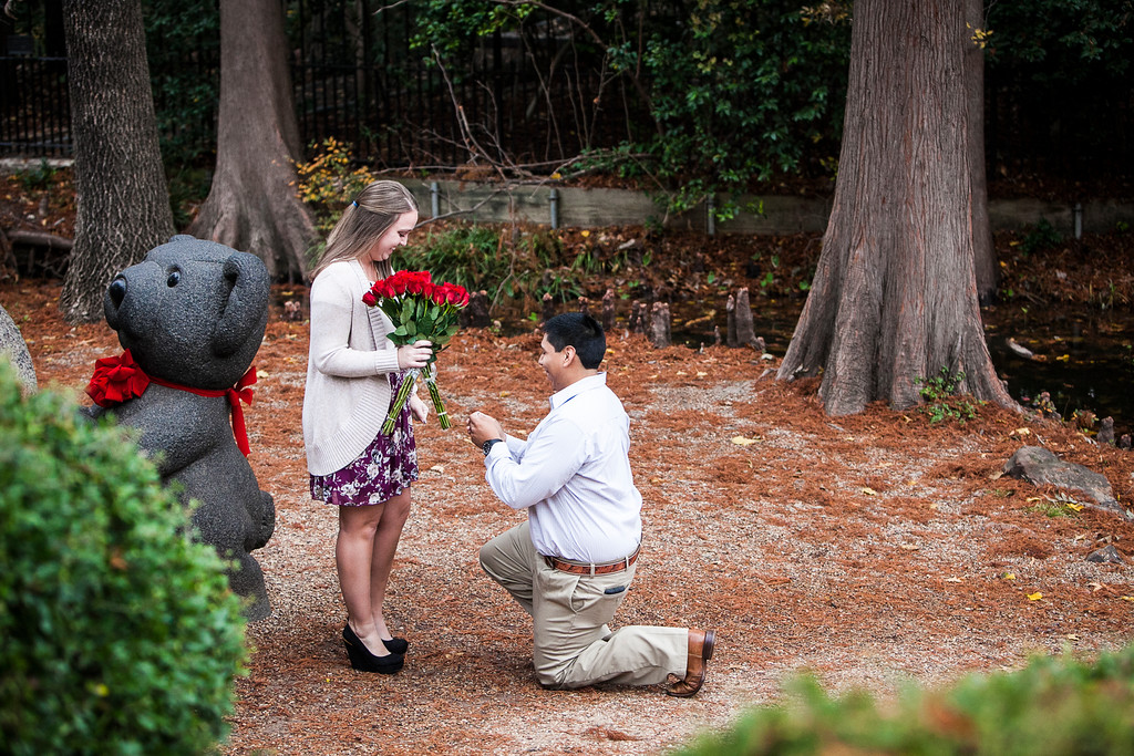 Teddy Bear Dallas Marriage Proposal 