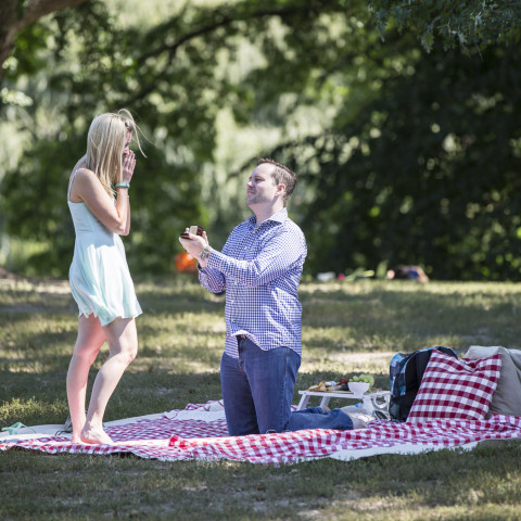 Alex's Central Park Picnic Proposal on Cherry Hill
