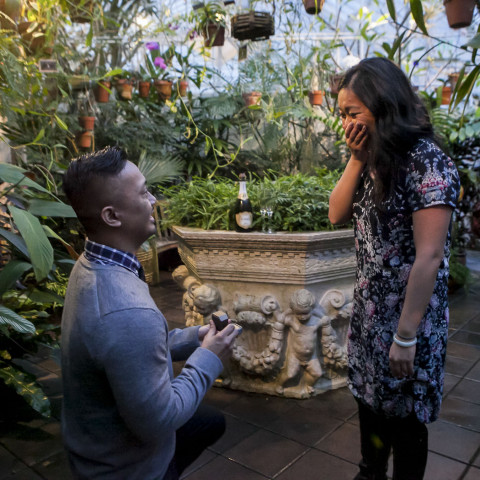 Jacob's San Francisco Marriage Proposal at the Conservatory of Flowers