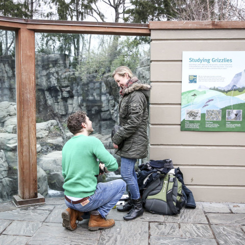 Dominic's New York Marriage Proposal | Central Park Zoo